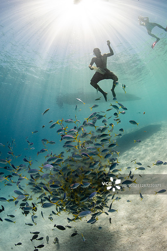 船，鱼群，自由潜水员，喂食图片素材