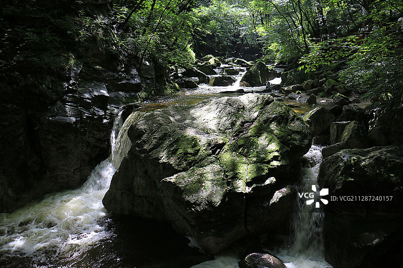 夏季秦岭太平森林公园溪水流过青苔遍布的石头图片素材