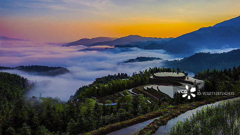 云海之上的桃源梯田宛如仙境图片素材