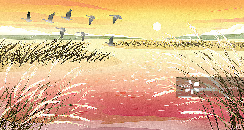 二十四节气白露风景插画图片素材