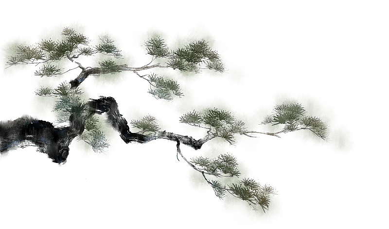 松树元素中国风古风水墨水彩插画插图图片素材