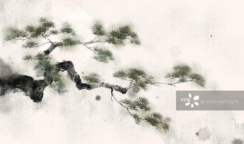 松树—中国风古风水墨水彩插画插图图片素材