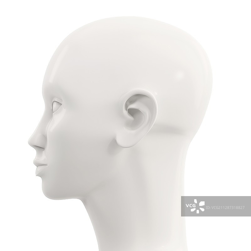 人头模型插画图片素材