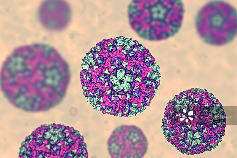 B组柯萨奇病毒，图示图片素材