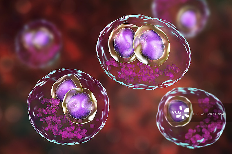 巨细胞病毒感染插图图片素材