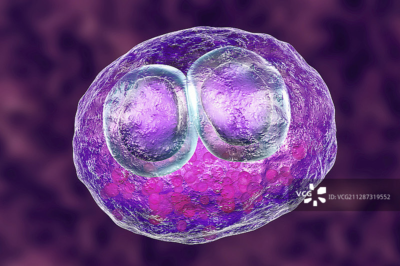 巨细胞病毒感染插图图片素材