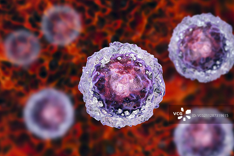 人类胚胎干细胞图图片素材