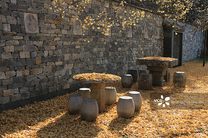 深秋西安古观音禅寺银杏树下落满落叶的两套石桌凳图片素材