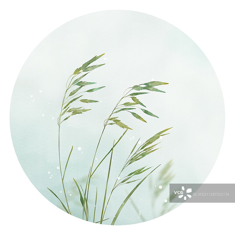 中式古风水彩野草图片素材