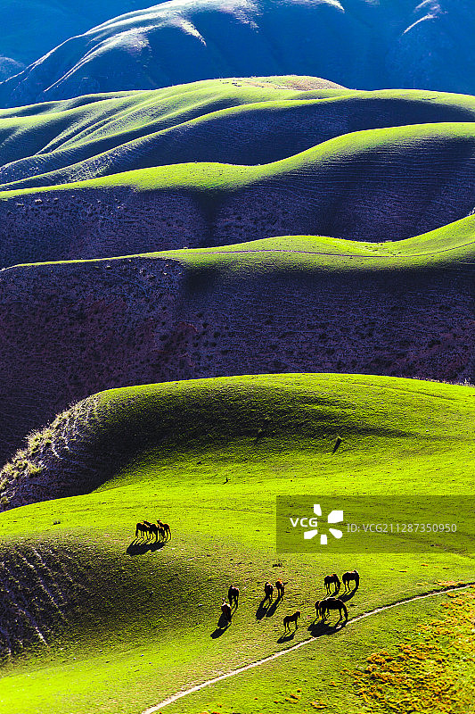 大地的曲线-新疆喀拉峻大草原图片素材