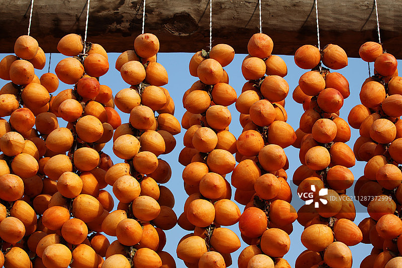 陕西富平马坡村把柿子去皮后吊挂起来晒柿饼图片素材