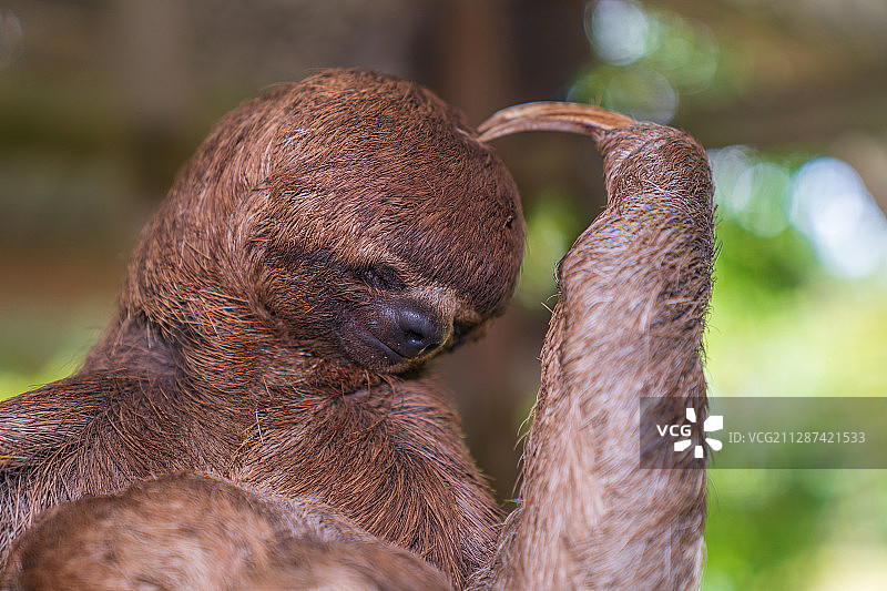 思想者图片素材