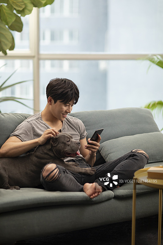 年轻男士和宠物狗在沙发上图片素材