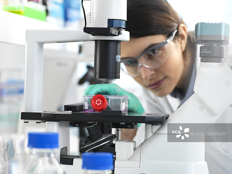 细胞研究图片素材