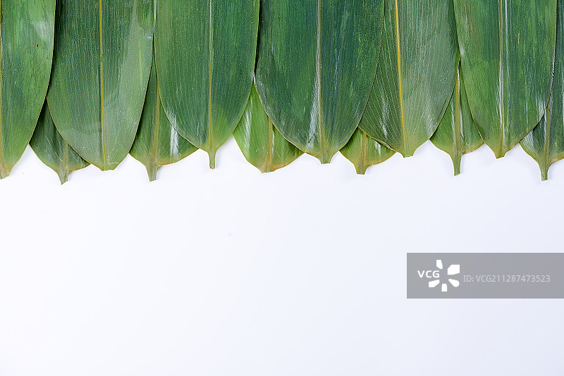 xin'xian新鲜lv'se绿色zong'ye粽叶图片素材