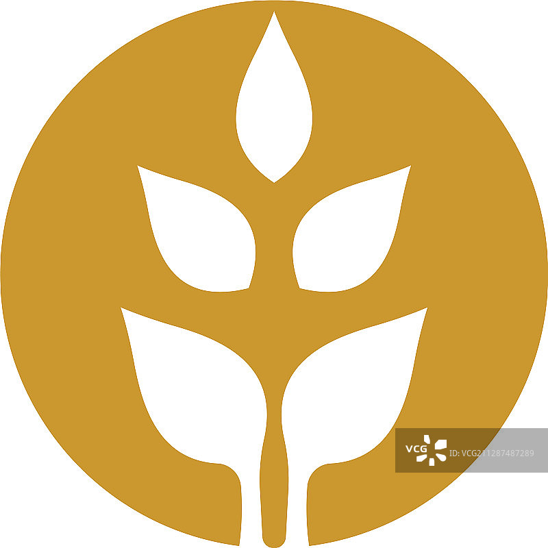 小麦图标设计图片素材