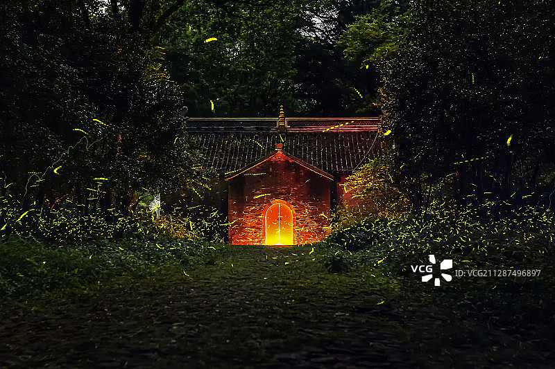 江苏省南京市明孝陵灵谷寺萤火虫图片素材