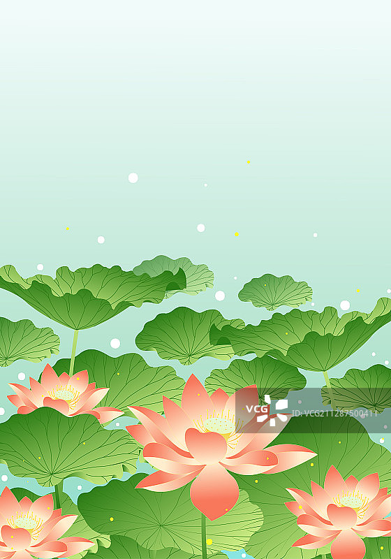 清凉夏天美丽的荷花矢量插画图片素材