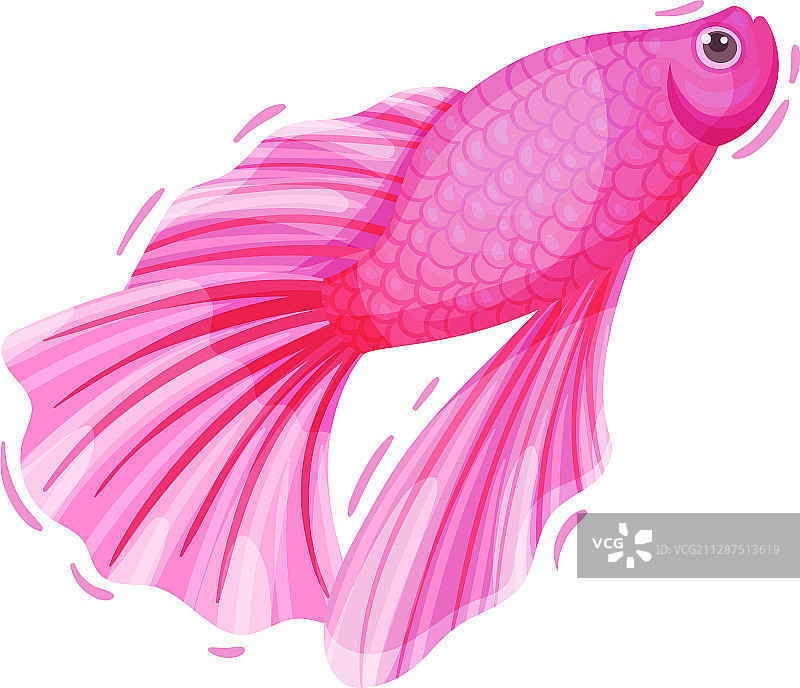 白色背景上的粉色鱼图片素材