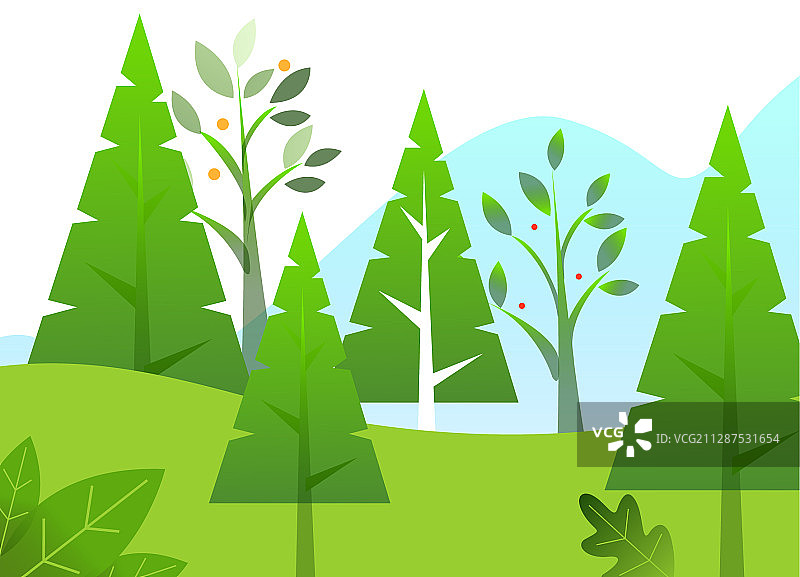 春季森林中的绿树图片素材