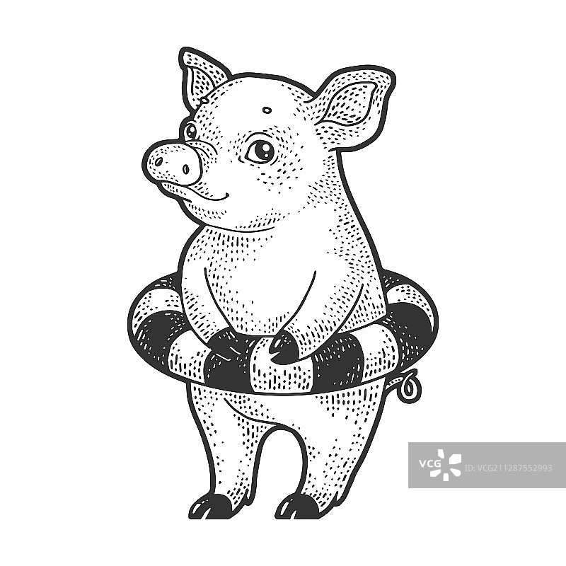 带游泳圈的小猪素描图片素材