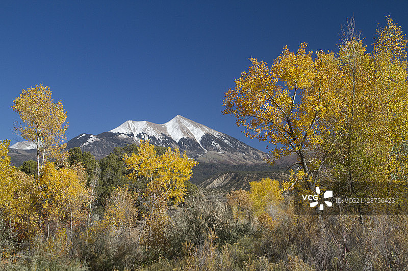 被秋叶映衬的拉萨尔山脉雪景图片素材