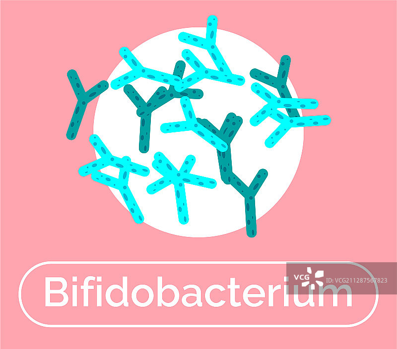 非动力双歧杆菌益生菌图片素材