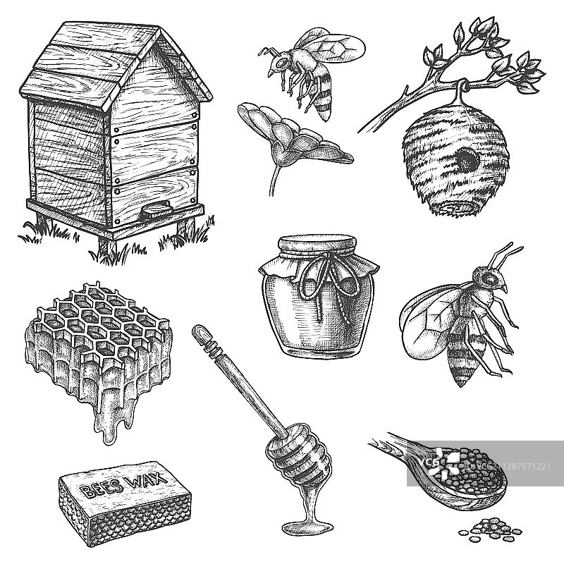 养蜂场素描图标蜂蜜勺蜂巢蜂窝图片素材