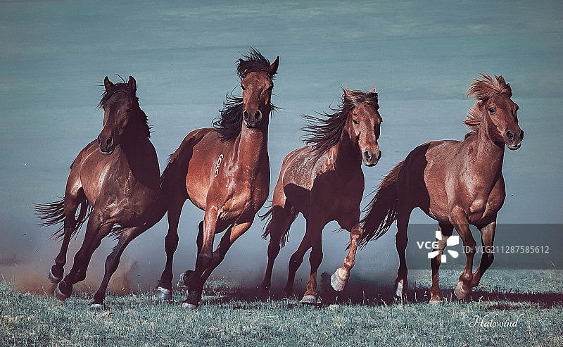 并驾齐驱图片素材
