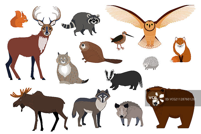 欧洲和加拿大野生森林动物合集图片素材