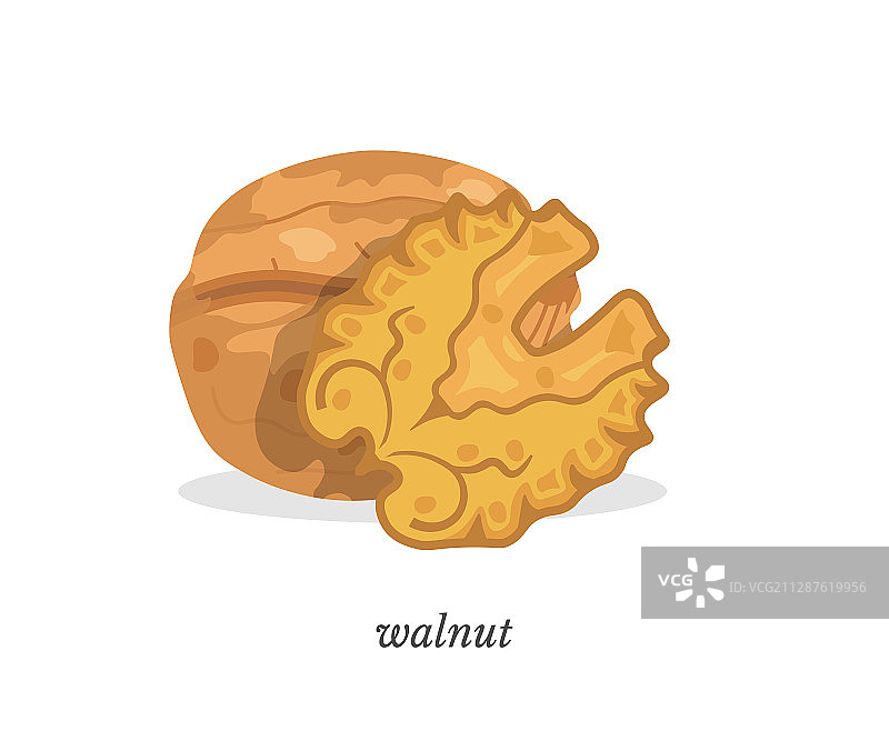 核桃扁平风排版设计图片素材