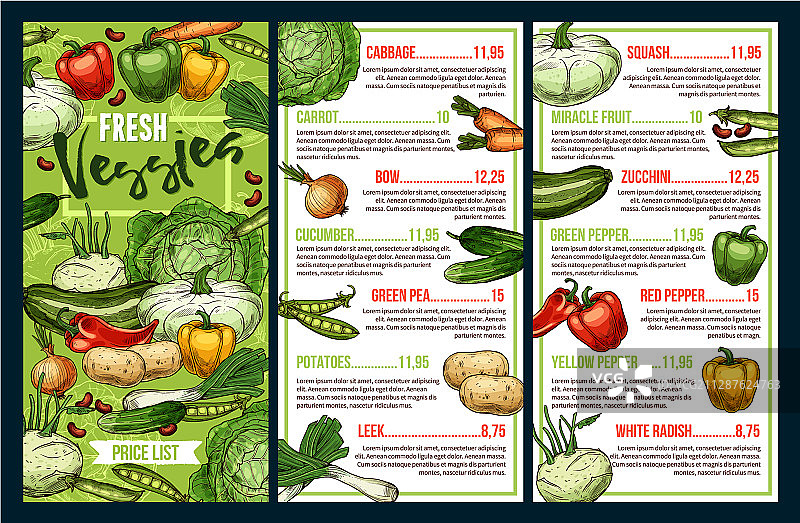 农场蔬菜：辣椒、胡萝卜、西葫芦、豆类图片素材
