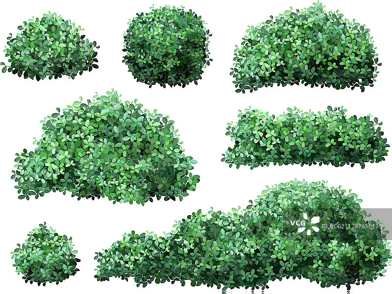 真实的绿色季节性花园灌木图片素材