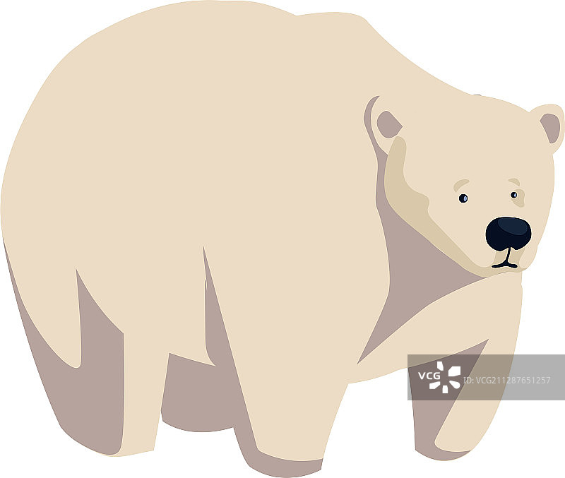白色背景上的大型白色北极熊图片素材