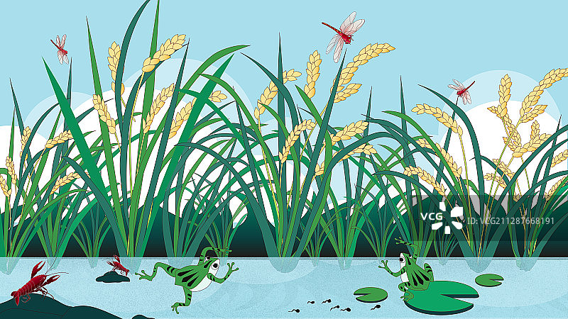 稻田系列之二图片素材