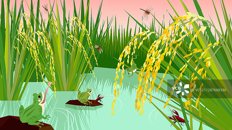 稻田系列五图片素材