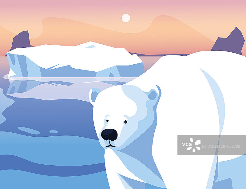 北极极地景观中的北极熊图片素材