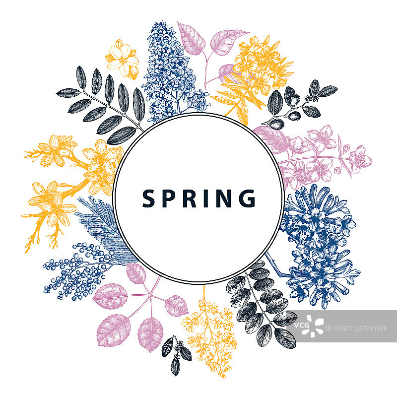 手绘春季盛开的树木花环设计图片素材