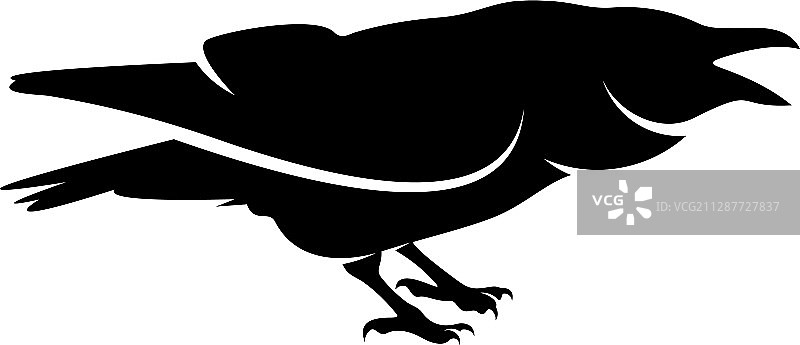 乌鸦鸟标志模板黑色剪影A图片素材