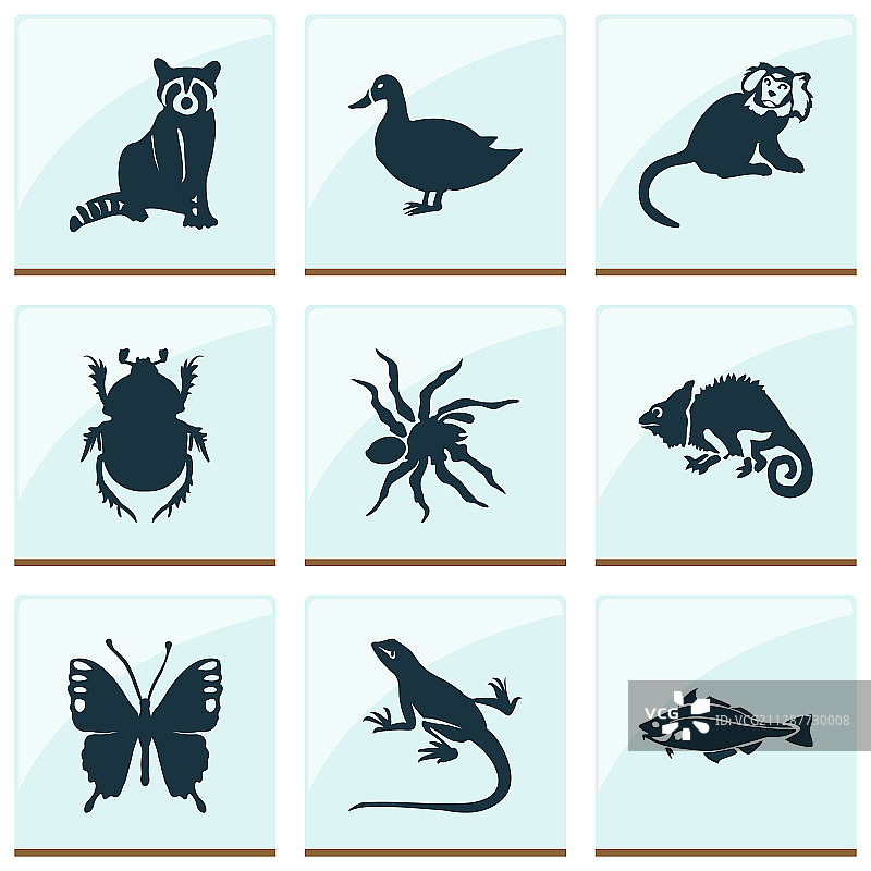 动物图标合集：浣熊、狨猴、鸭子图片素材