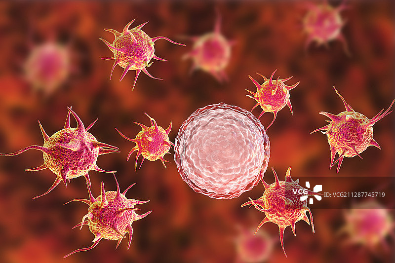 女性不孕症插图图片素材