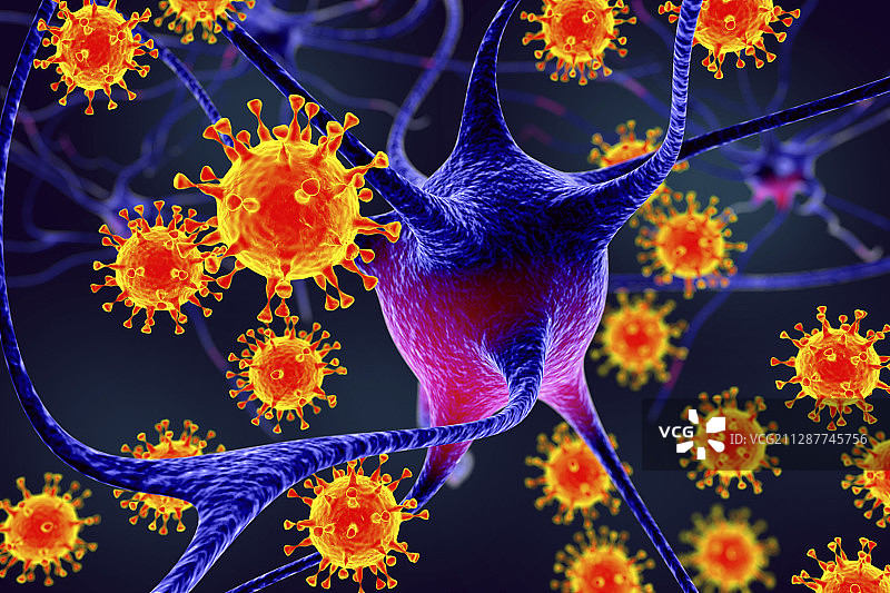 病毒性脑炎，插图图片素材