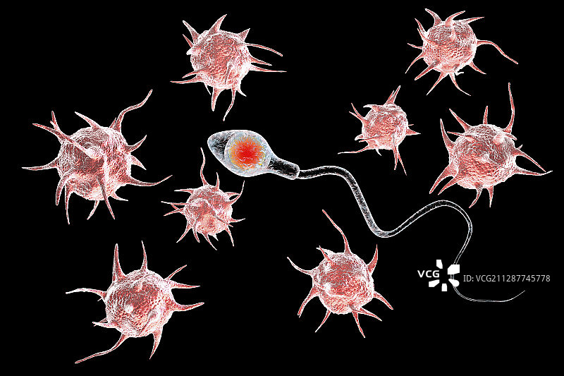 不孕概念插画图片素材