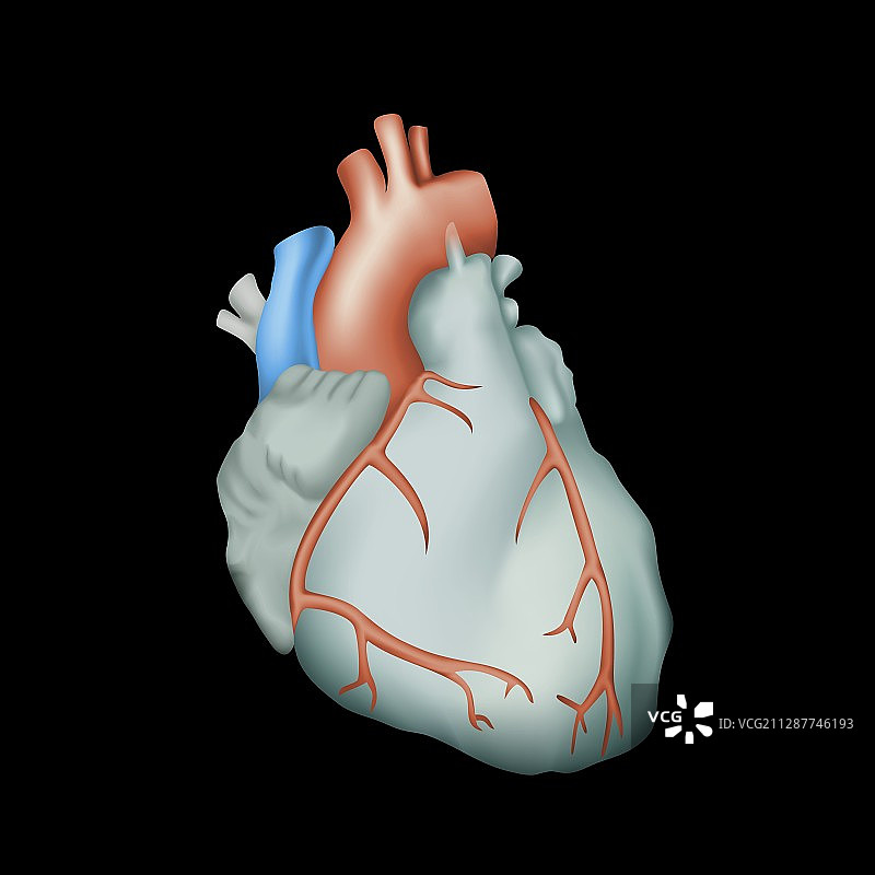 人类的心,说明图片素材