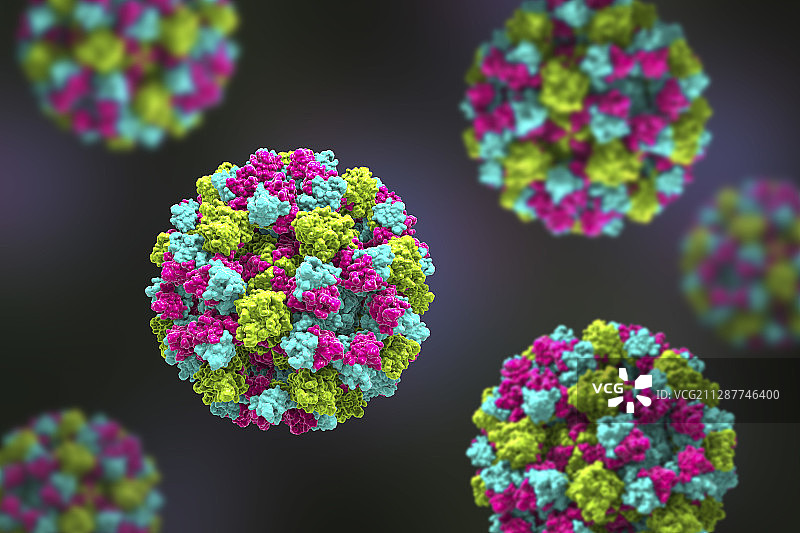 诺如病毒图示图片素材