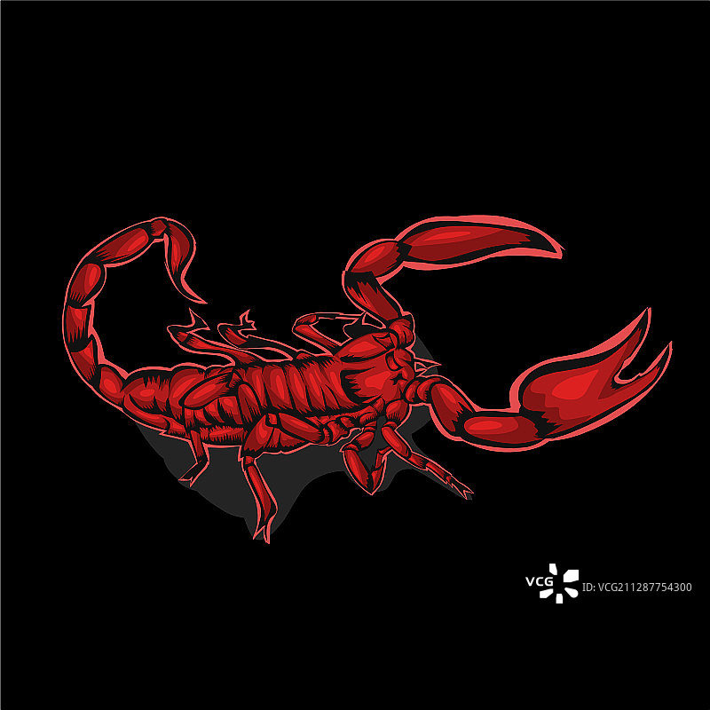 简约设计红色蝎子图片素材