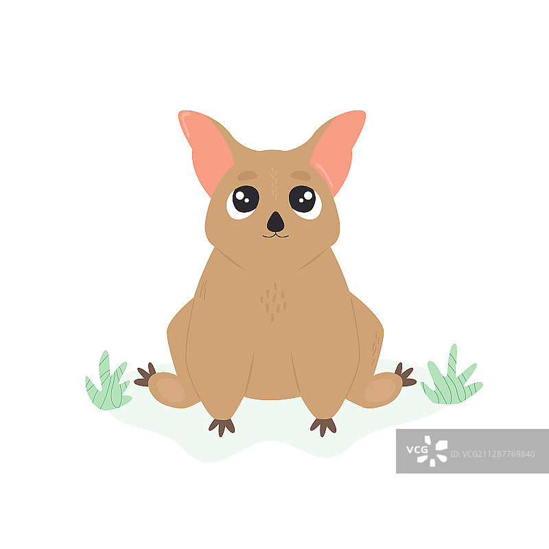 可爱的澳洲负鼠动物角色设计图片素材