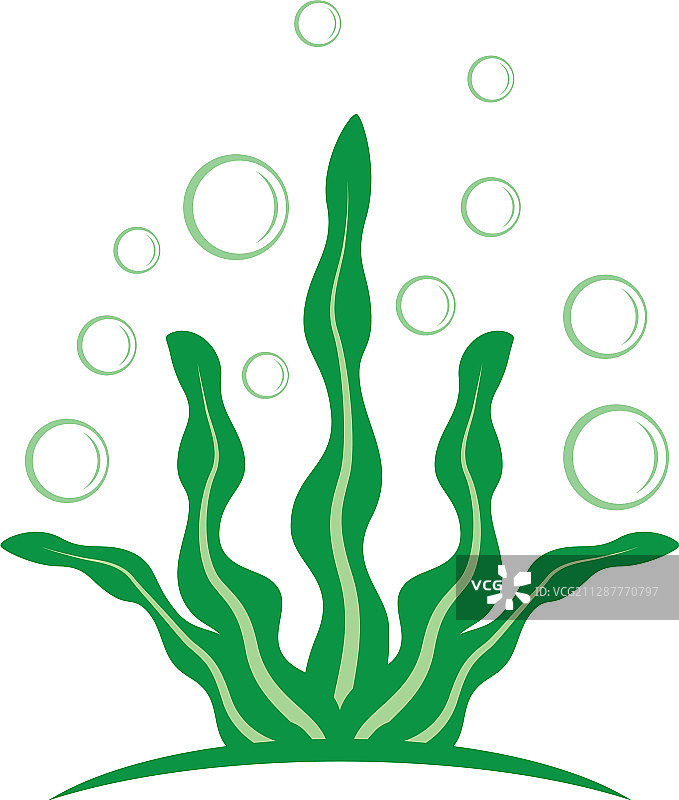 海藻Logo模版图标图片素材