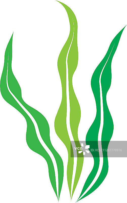 海藻Logo模版图标图片素材