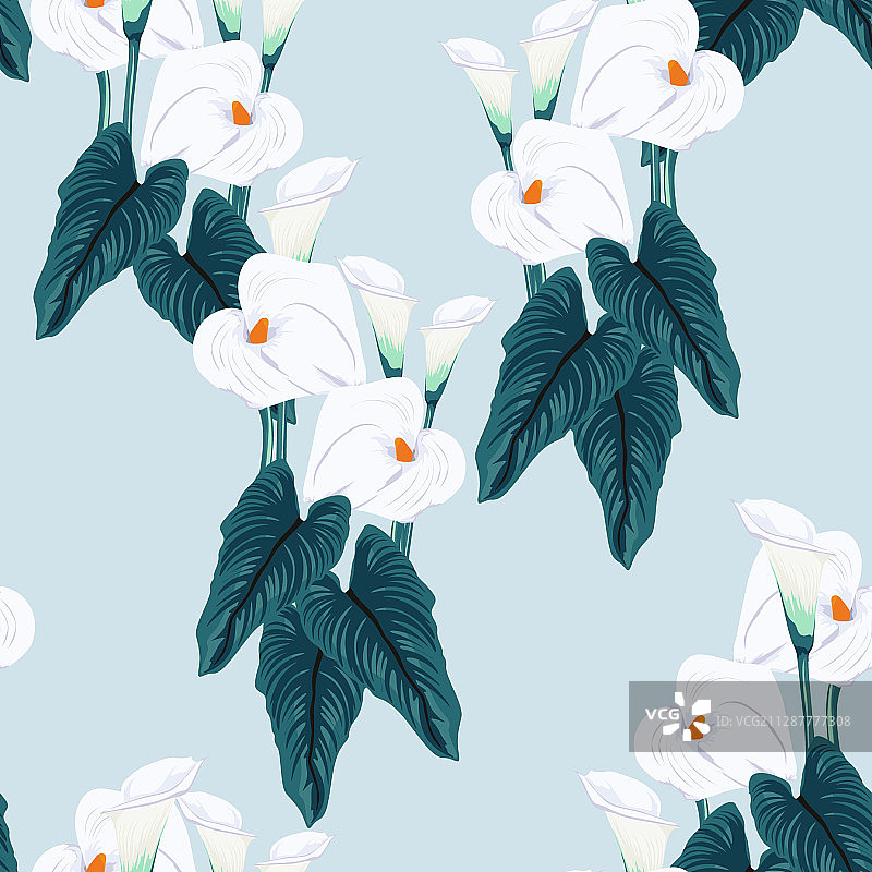 蓝色马蹄莲花朵图案图片素材